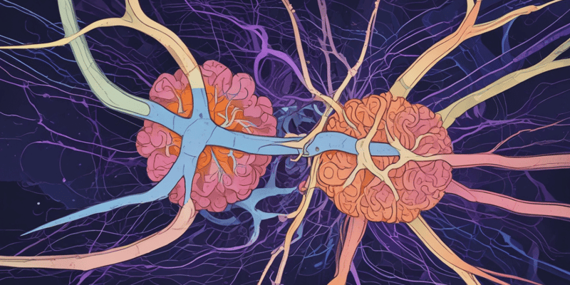 Thalamocortical Pathways and Ascending Arousal System