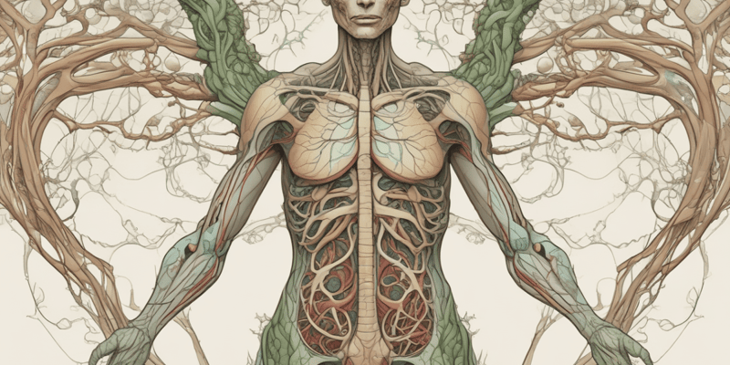 Chapter 21: The Lymphatic System - easy