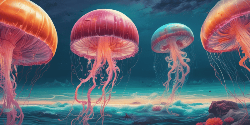 What Is a Jellyfish?
