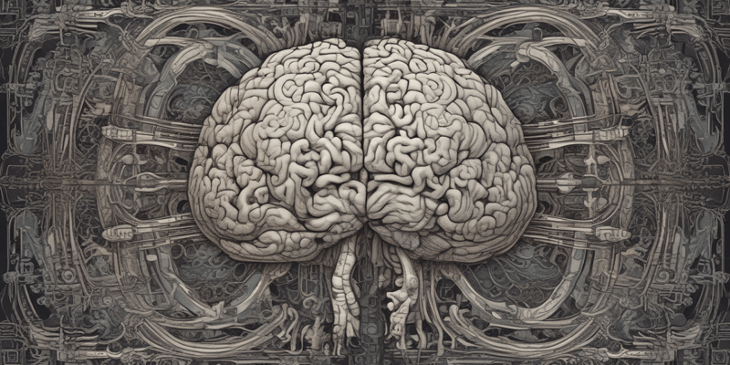 Neurology Basics: Brain Functions and Language