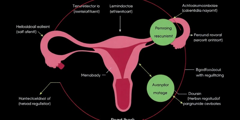 Hormonal Regulation in the Menstrual Cycle