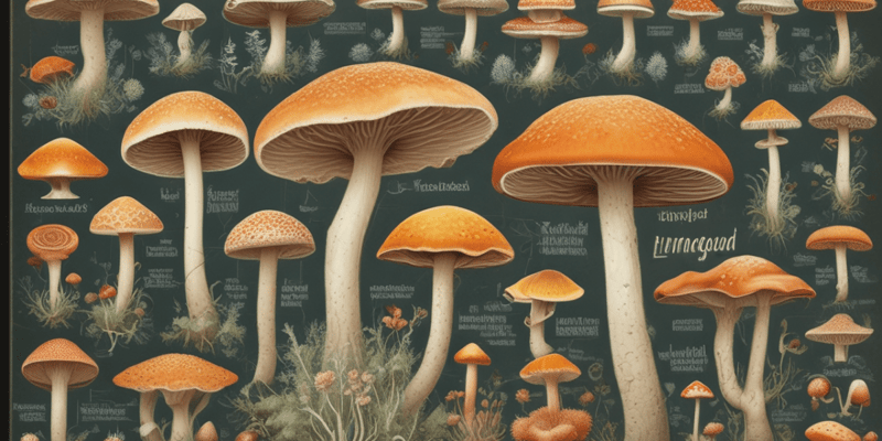 Structure, Reproduction, Classification, and Ecological Importance of Fungi