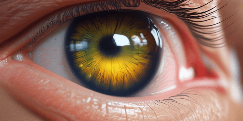 Presbyopia, Cataracts, and Presbycusis Quiz