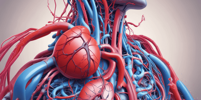 Cardiovascular System Coding Quiz