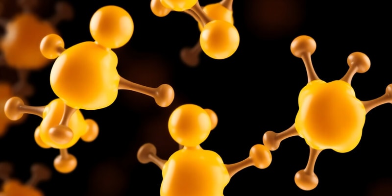 Biochemistry of Triglycerides