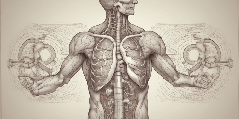 Respiratory System: Types of Pressure