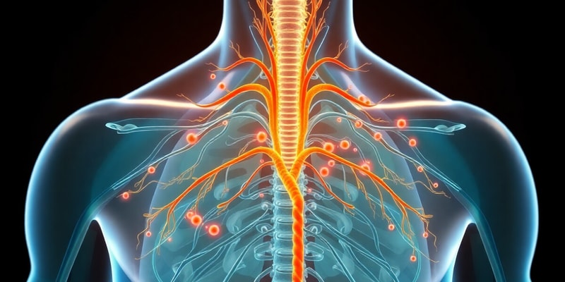 El Sistema Neuroendocrino y sus Funciones