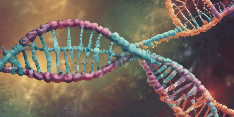 DNA Mutations and Gene Products