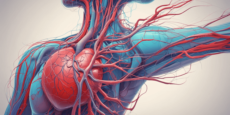 Circulatory System Parts Overview
