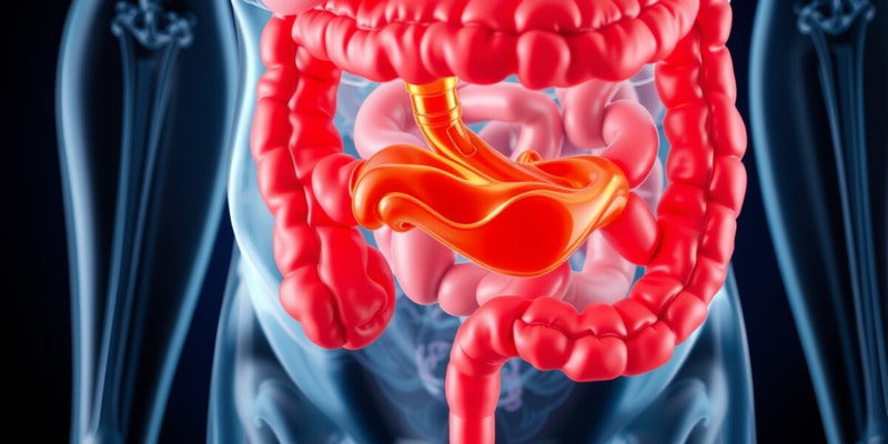 Obstrucción Gastrointestinal y Billroth 2