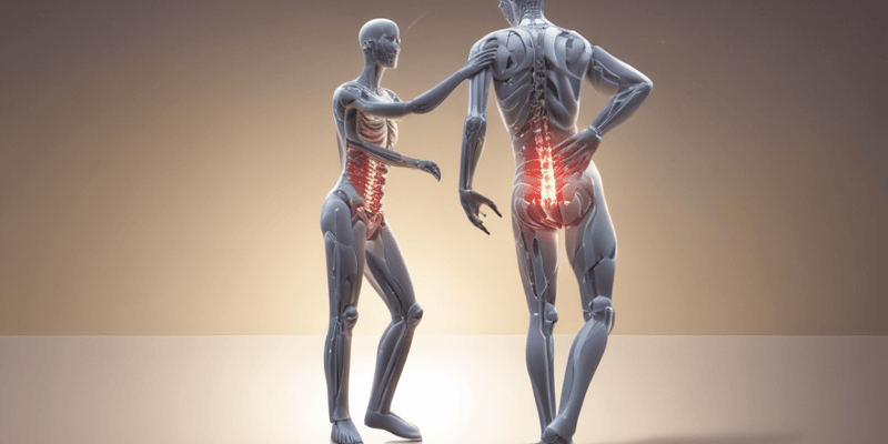 Types of Low Back Pain