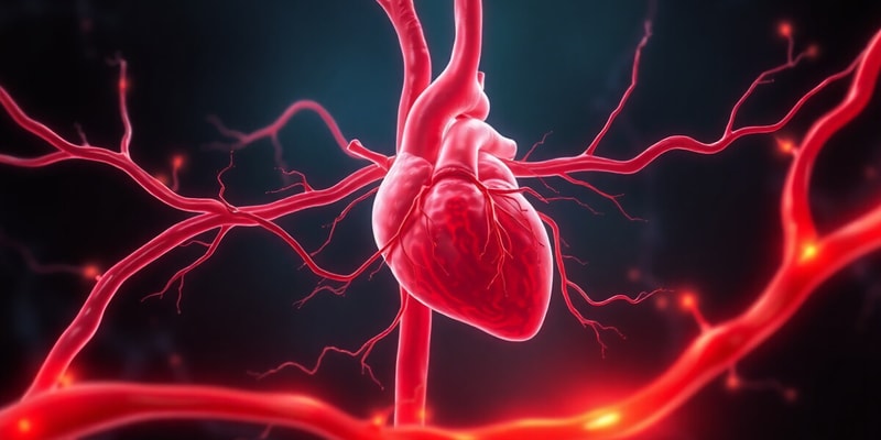 Cardiovascular System Overview