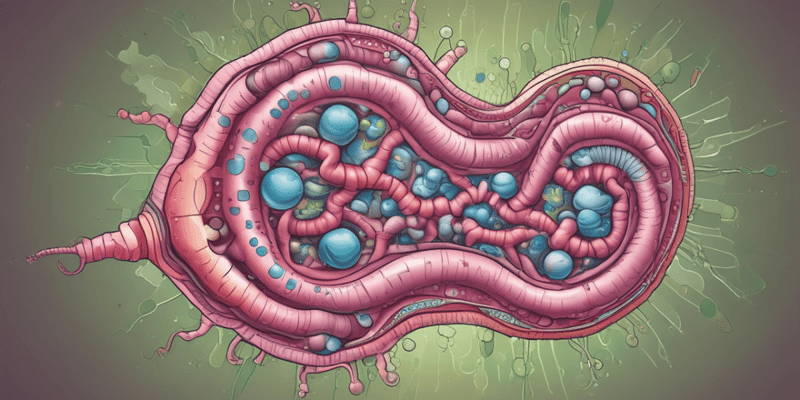 Lipid Digestion: Enzymes and Bile Salts