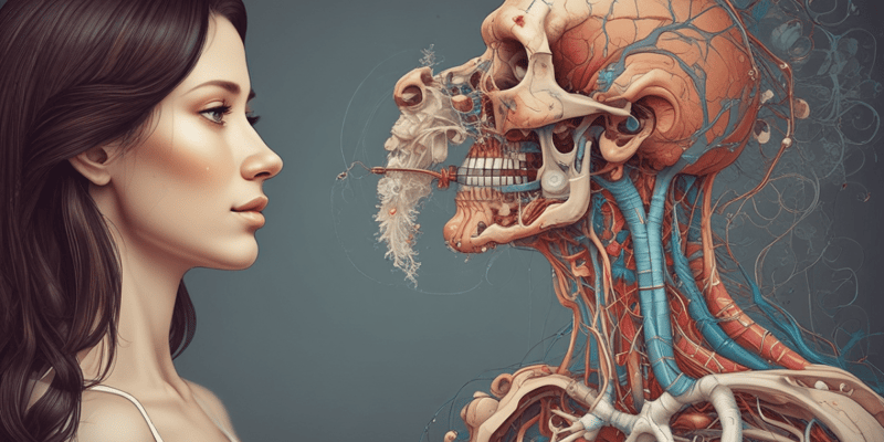 Anatomia Umana: Apparato Respiratorio