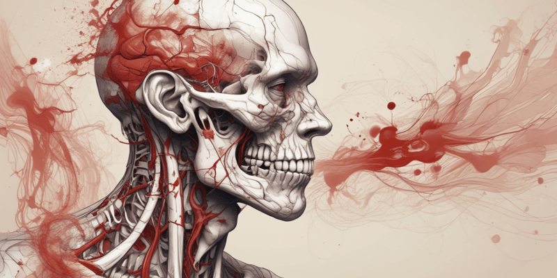 Anatomie: Blut - Überblick
