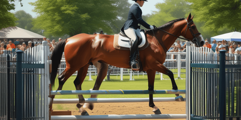 Equestrian Judges Regulations Quiz