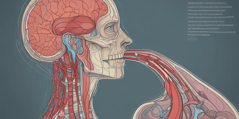 Anatomy and Sonography of the Abdomen