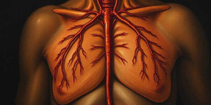 Endocrine System Overview