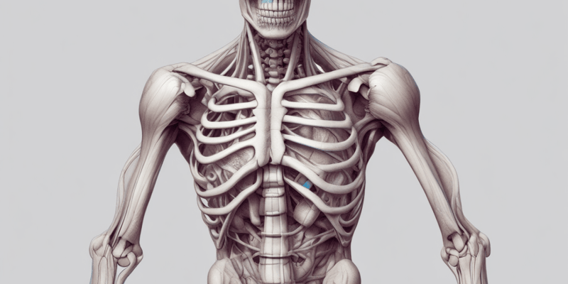 Skeletal Muscle Development in Vertebrates
