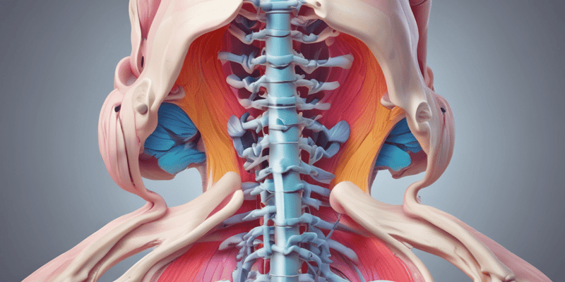 Intervertebral Disk Function and Stability Quiz