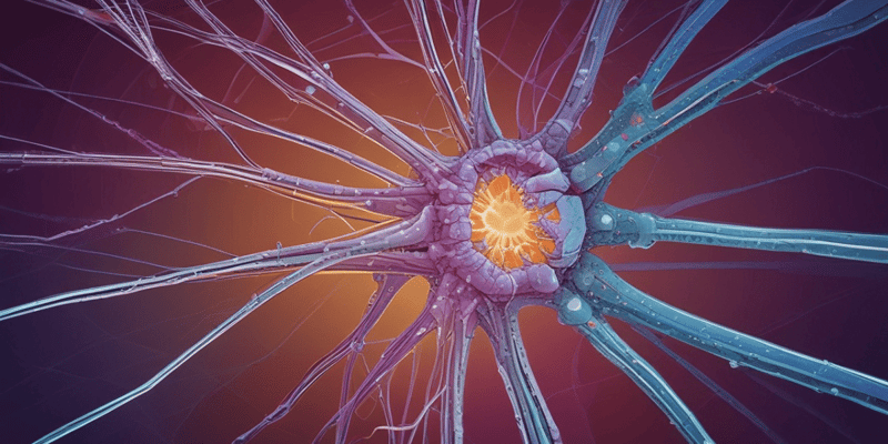 Cytoskeleton