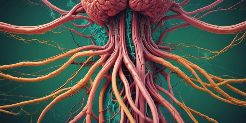 The Lymphatic and Immune System: Anatomy Chapter 21