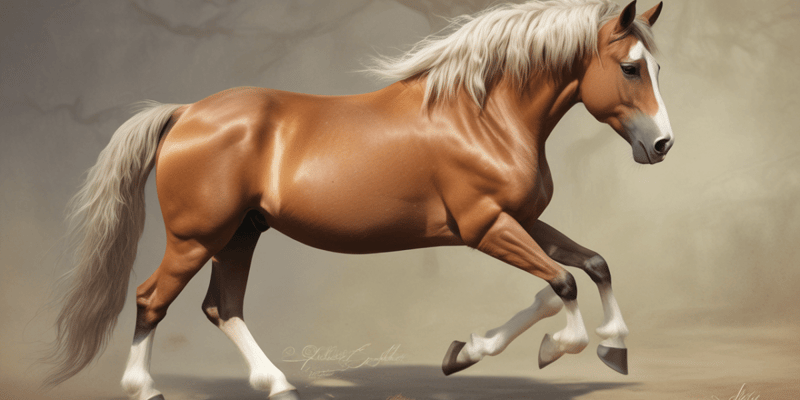 Horse Breeds and Colors