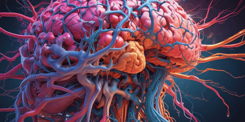 Neuroanatomy Part 1 Learning Outcomes