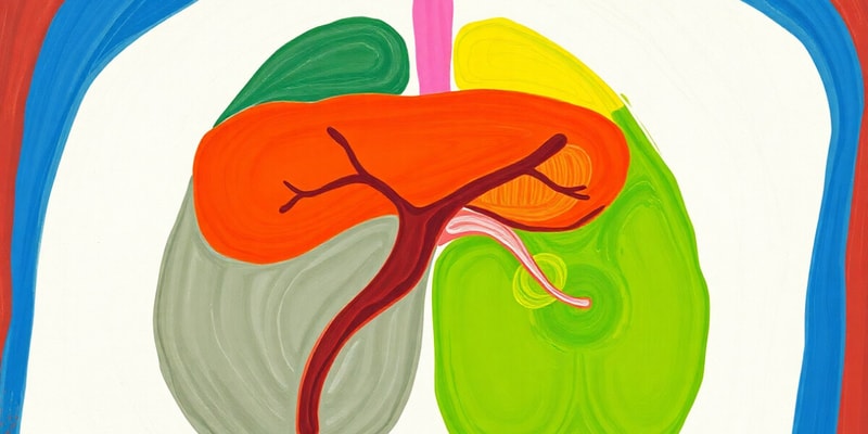 Endocrine vs Exocrine Glands Quiz