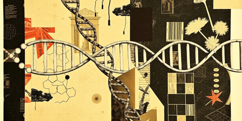 DNA Replication Mechanism