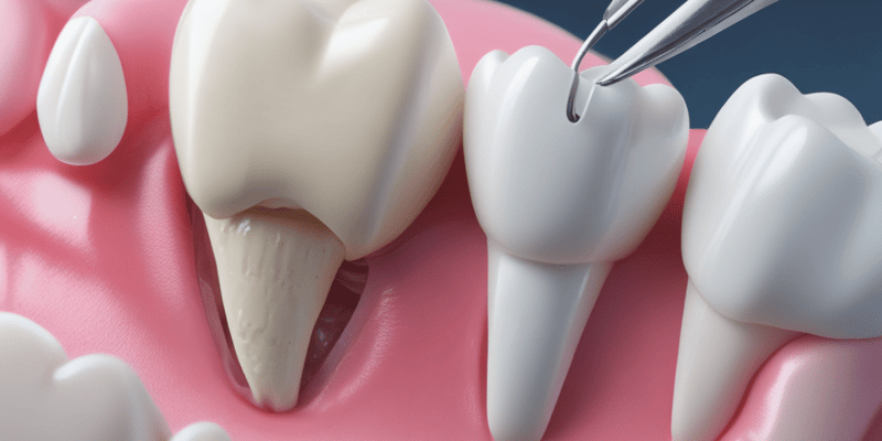 Sturdevant 6th Edition Chapter 5 Tooth Preparation Quiz