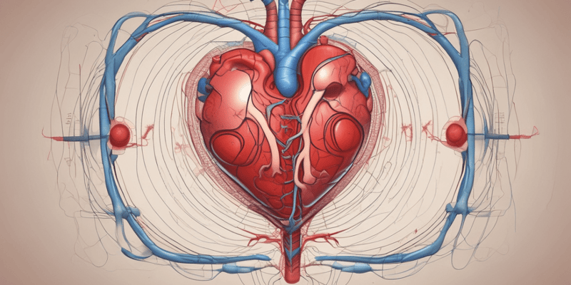 Tuần hoàn sau sinh và phát triển tim mạch
