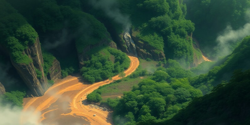 Mining and Deforestation in Kalimantan