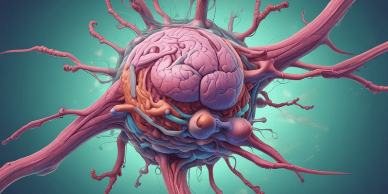 Lymphoid System 1