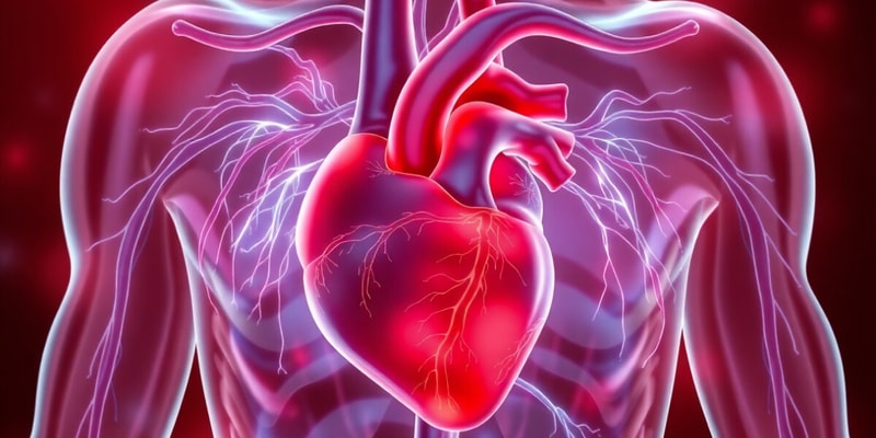 Cardiac Conditions and Assessment Quiz