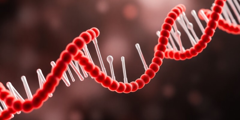 Clase 7 ADN: Replicación y Síntesis