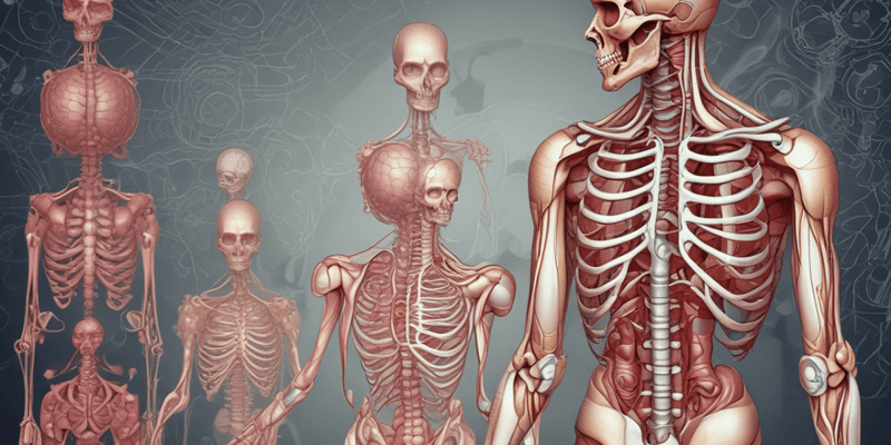  Organisation and Structure of the Human Body