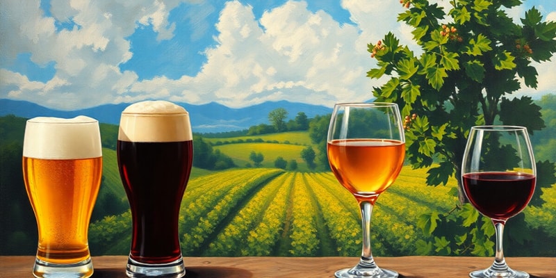 Beer and Wine Production Overview