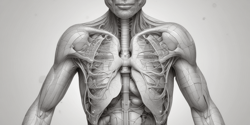 Tema 9: Anatomía del Aparato Respiratorio