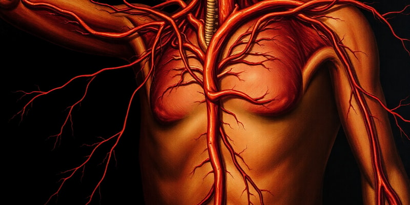 Circulatory System Overview