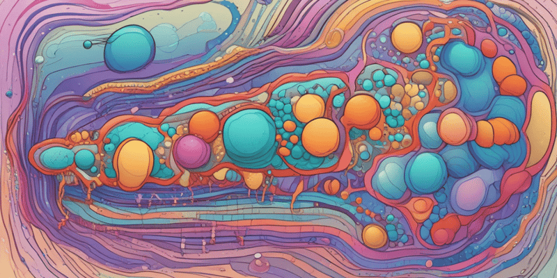 Membrane Components Quiz