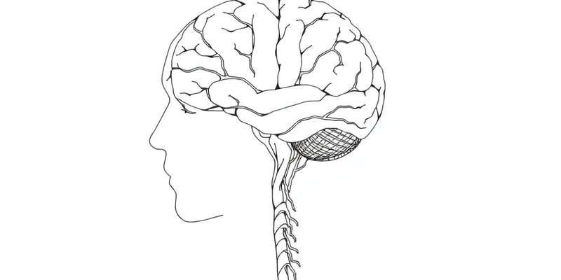 Drugs that affect the Nervous System