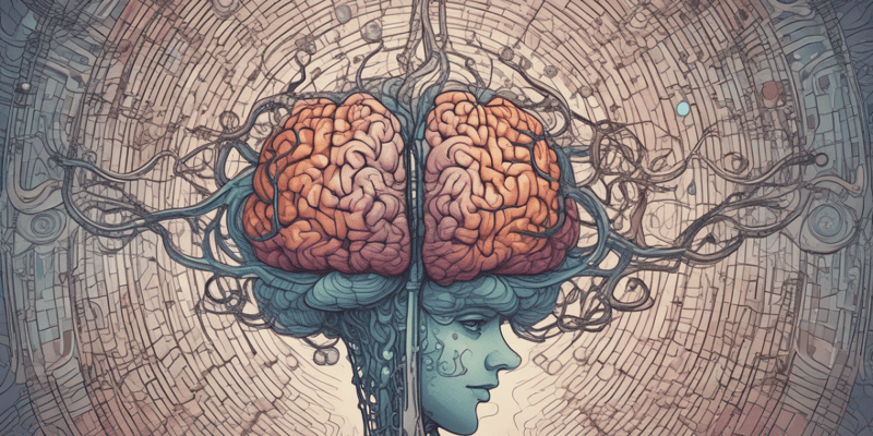 Desarrollo del Cerebro y Funciones Cognitivas