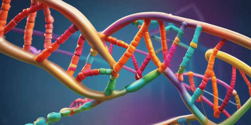 DNA Mismatch Repair Mechanism