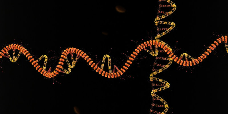 Biology DNA Profiling and tRNA Functions