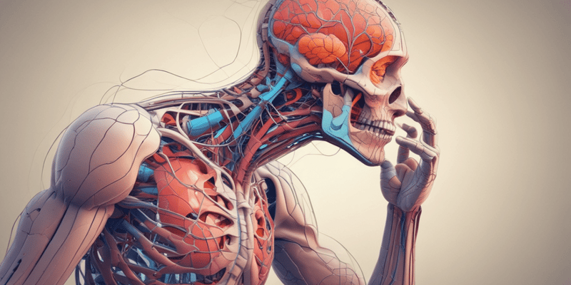 Fisiologia del corpo umano: sistema nervoso e fegato