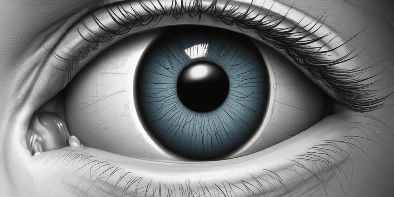 Anatomy of the Cornea: Structure and Function