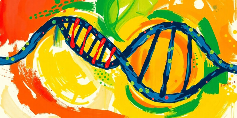 DNA Structure and Replication Quiz