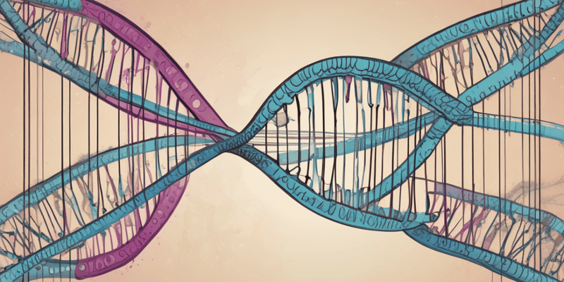 Genetic Mutations in Humans