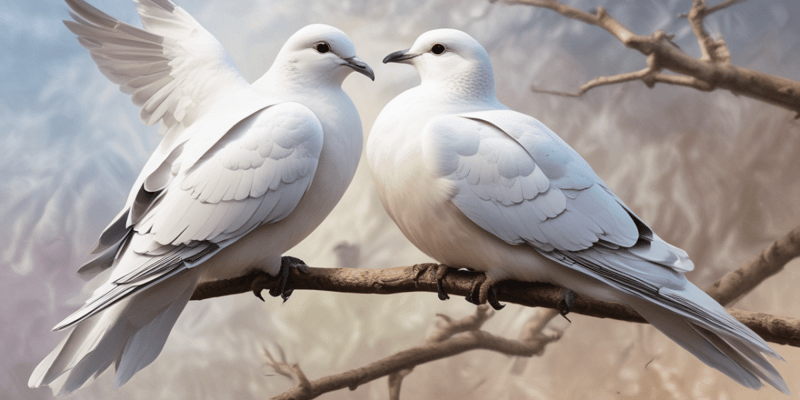 Doves: Symbolism, Habitat, and Life Cycle
